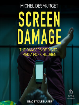 cover image of Screen Damage